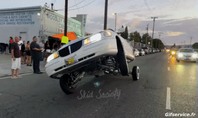 Lowriding Autos Transport Humor -  Fun 