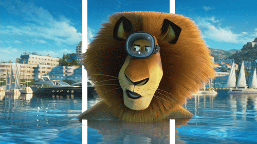 3D - Lignes -  Bandes 3D Effets Humour - Fun 