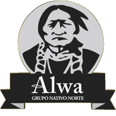 Alwa Argentina Snack - Chips - Crips Food 