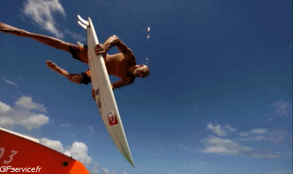 Fun - Win Surf Sport Humor -  Fun 