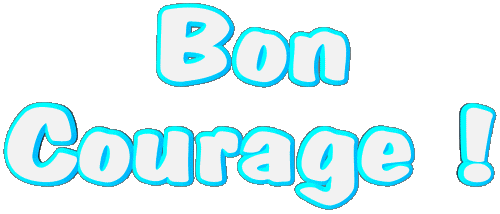 04 Bon Courage Französisch Nachrichten 