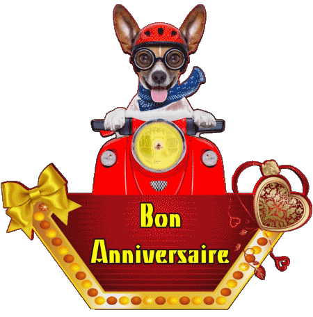 010 Animaux Bon Anniversaire Francese Messagi 