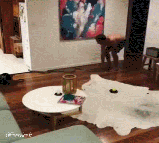 01 Serpenti Animali Umorismo -  Fun 