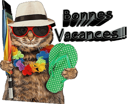 30 Transparent Background Bonnes Vacances French Messages 