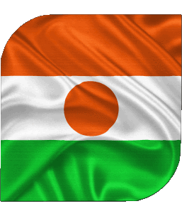 Quadrato Niger Africa Bandiere 