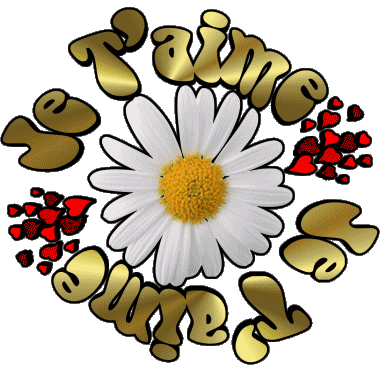 05 Je T'aime Französisch Nachrichten 