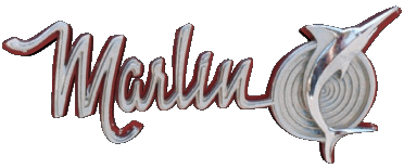 Logo Marlin Autos - Alt Transport 