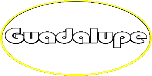 Guadalupe G FEMININE - Spain First Names 