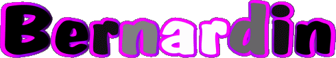 Bernardin B MASCULIN - France Prénoms 