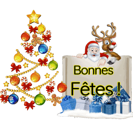 Serie 20 Bonnes Fêtes (Noël) Francés Mensajes 