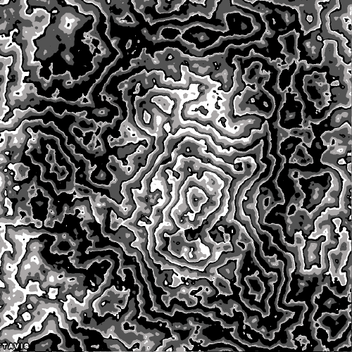 Bill Tavis GIF Artists Humor -  Fun 