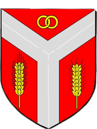 Wappen-Wappen BARAQUEVILLE 12 Abteilungen - Städte Frankreich Fahnen 