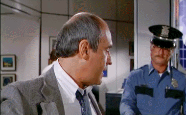 Airport 2 - The Sequel Airplane Movies International Multi Media 