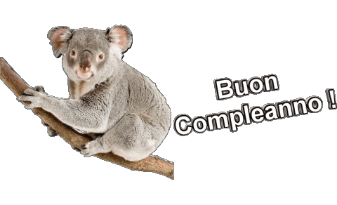 0013 Animali Buon Compleanno Italian Messages 
