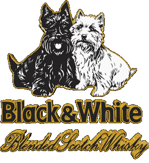 Black and White Whisky Bebidas 