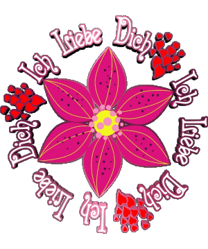 01 Ich Liebe Dich German Messages 