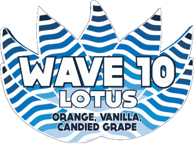 Wave 10-Wave 10 Adirondack USA Birre Bevande 