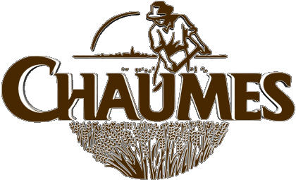 Chaumes France Cheeses Food 