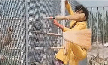 Les Fous du Stade - Vidéo Les Charlots Film Francia Multimedia 