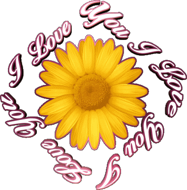 02 I Love You Anglais Messages 