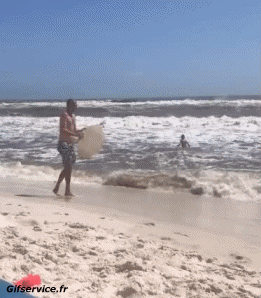 Stürze - Fail Skim board Sport Humor -  Fun 