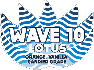 Wave 10-Wave 10 Adirondack USA Beers Drinks 