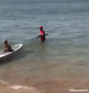 Falls - Fail Paddle Sports Humor -  Fun 