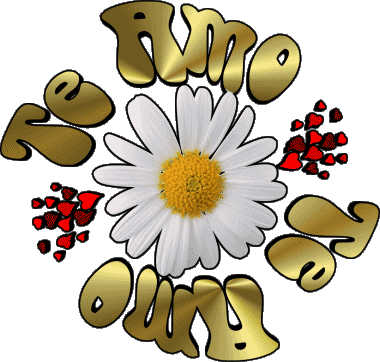 04 Te Amo Espagnol Messages 