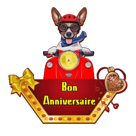 010 Animaux Bon Anniversaire Französisch Nachrichten 