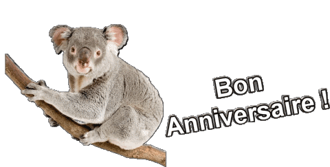 013 Animaux Bon Anniversaire Französisch Nachrichten 