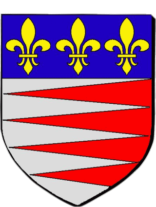 Blasone-Blasone CASTRES 81 Dipartimenti - Città Francia Bandiere 