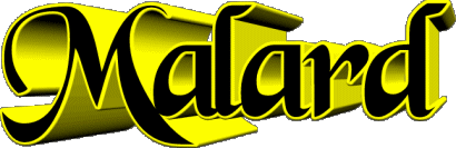 Malard M MASCULINO - Francia Nombre 