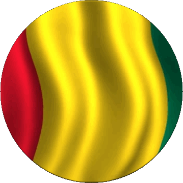 Rond Guinée Afrique Drapeaux 