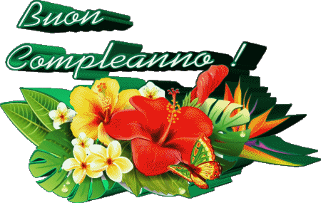 001 Sfondo trasparente Floreale Buon Compleanno Italiano Messagi 