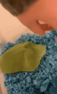 01 Hamster Animaux Humour - Fun 