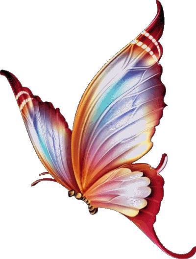 008 Fond Transparent Mariposas Feliz Cumpleaños Espagnol Messages 