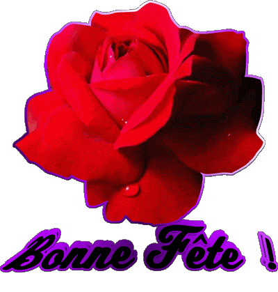 01 Bonne Fête French Messages 