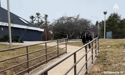 Fun - Win Roller Skate Sports Humour - Fun 