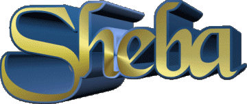 Sheba S FEMININ - UK - USA Prénoms 