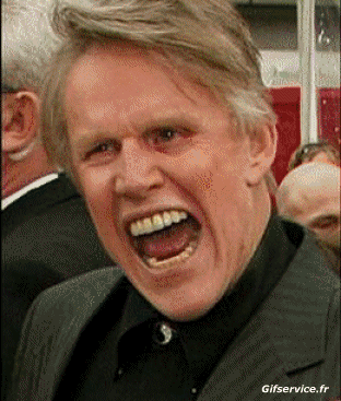 Gary Busey-Gary Busey Série 02 People - Vip Morphing - Ressemblance Humour - Fun 
