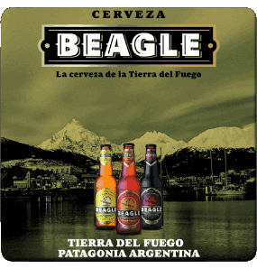 Beagle Argentinien Bier Getränke 