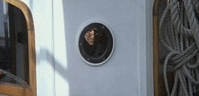 Video Mein name ist nobody - Terence Hill V International Multimedia 