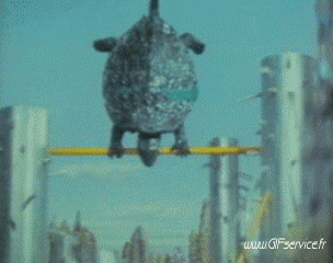 01 Turtles Animals Humor -  Fun 