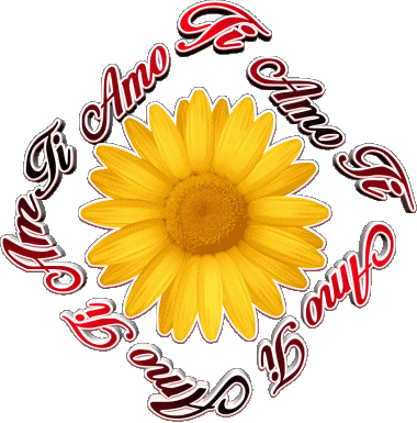 02 Ti Amo Italien Messages 