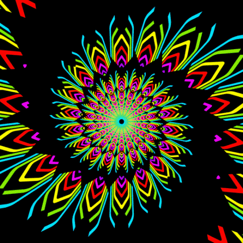 Hexeosis GIF Artista Humor - Fun 