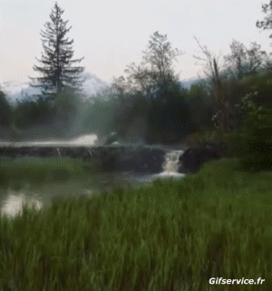 Accident Crash Echouage Bateaux Transports Humour - Fun 