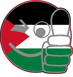Smiley - OK Palestine Asie Drapeaux 