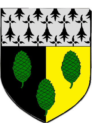 Blason-Blason SABLES D OR LES PINS 22 Dipartimenti - Città Francia Bandiere 