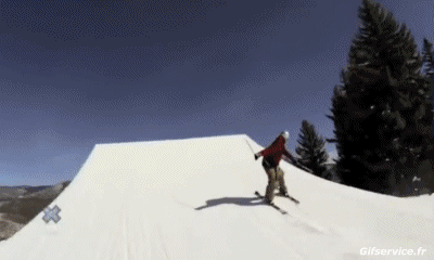 Free Style Fun Win Ski Sports Humour - Fun 
