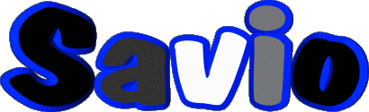 Savio S MASCULIN - France Prénoms 